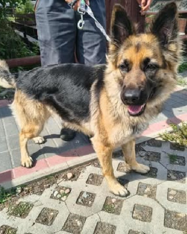 Balbina