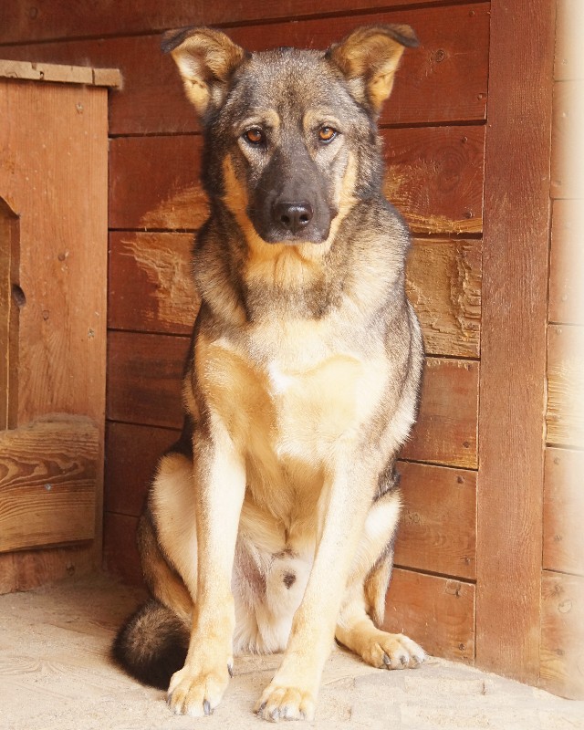 Stasiu