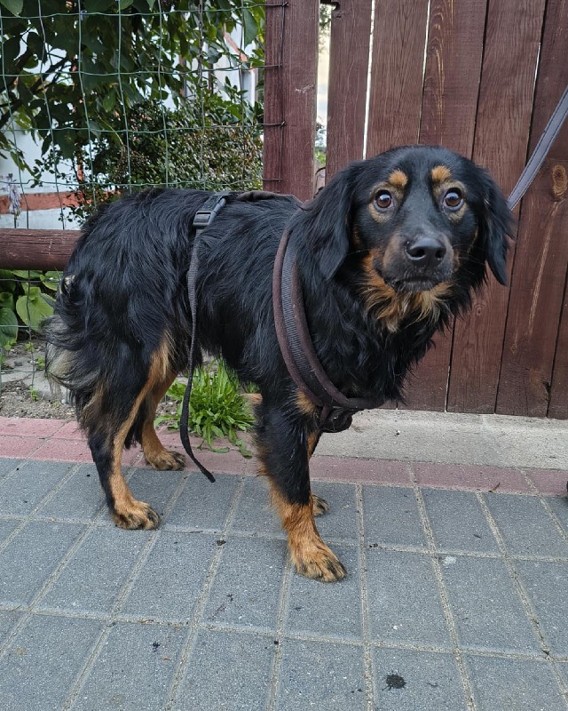 Venta